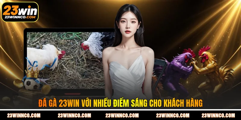 Đá gà 23WIN với nhiều điểm sáng cho khách hàng